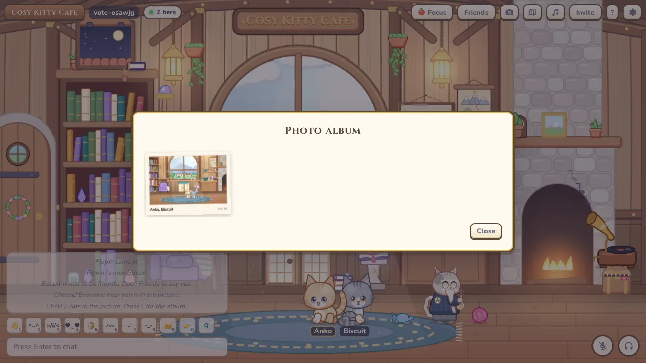 The photo album